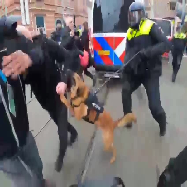 Les forces de l’ordre bien secondées par les brigades canines 
