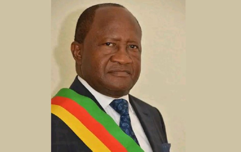 Cameroun. Le président de l'Assemblée nationale remplacé après 34 ans ...